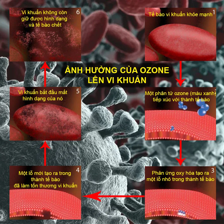 Nghiên cứu khoa học về khả năng diệt virus của Ozone