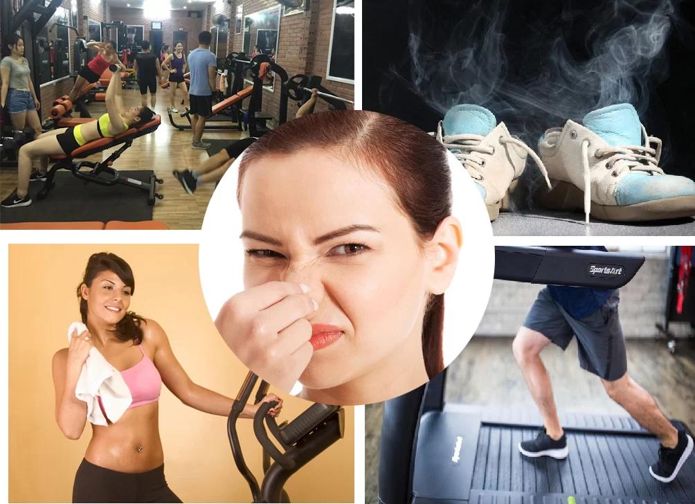 2. Ozone: Cơ Chế Khoa Học Khử Mùi Vượt Trội