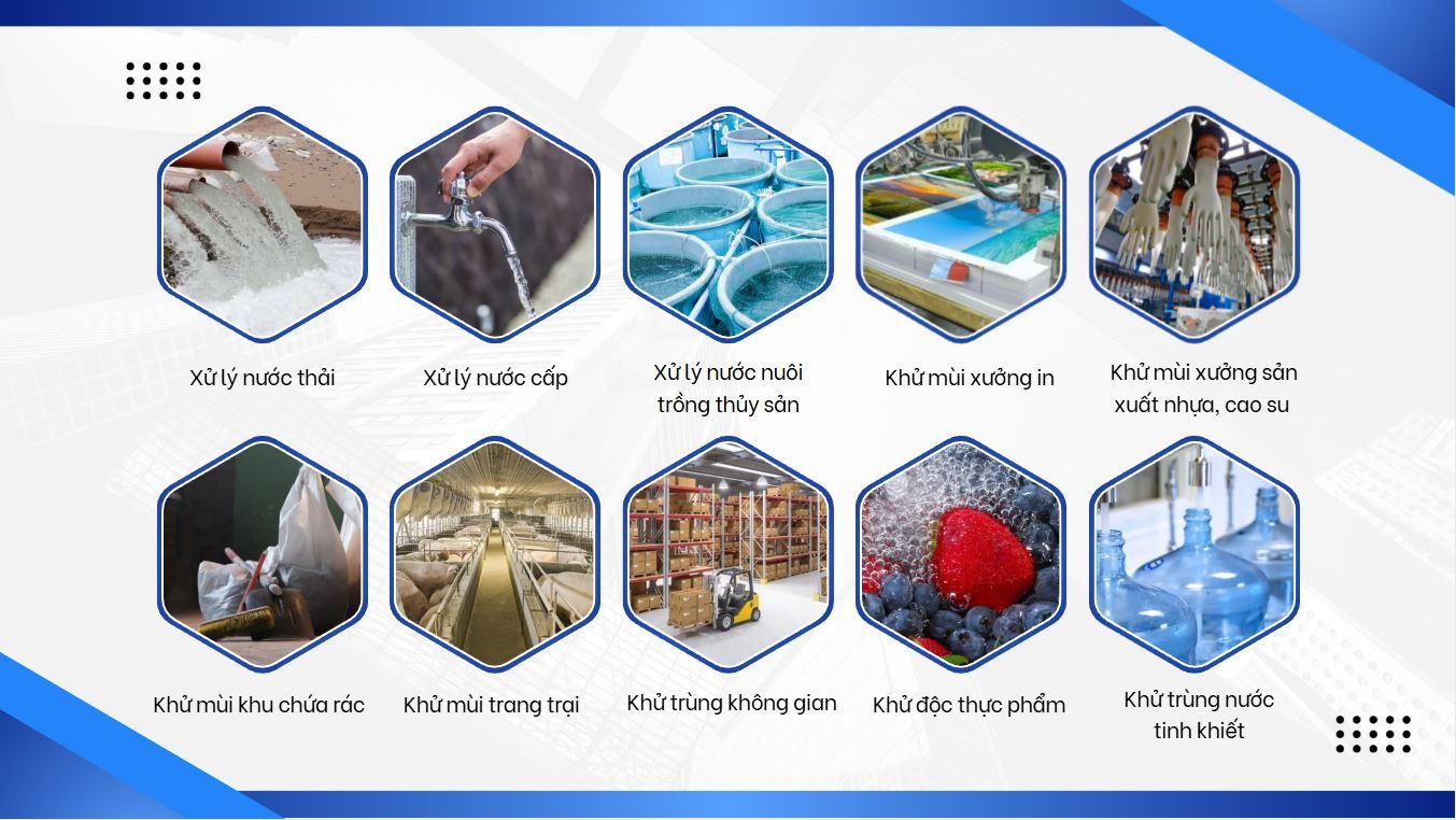 3. Giá Rẻ Có Phải Là Lựa Chọn Tối Ưu?