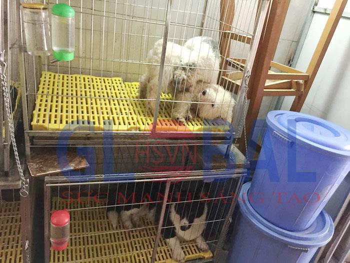 2. Những Trường Hợp Cần Tránh Khi Vận Hành Máy Ozone Khử Mùi