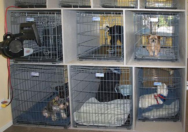 2. Công nghệ Ozone: Phân hủy mùi dầu mỡ và khói bếp hiệu quả