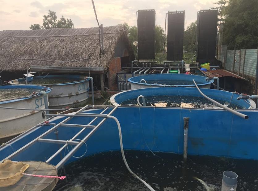 2. Cơ chế ưu việt của công nghệ ozone trong khử mùi