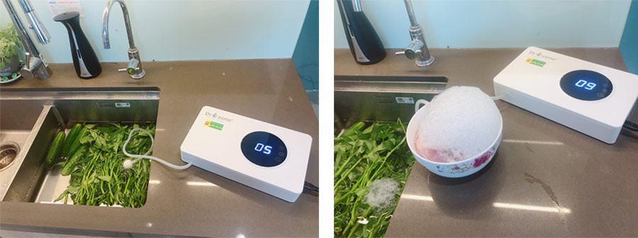 Có nên sử dụng máy sục Ozone gia đình rửa rau quả?