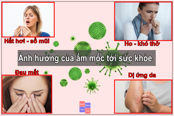 Loại bỏ nấm mốc trong nhà nhờ vào máy tạo Ozone