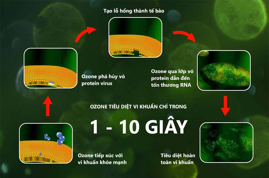 Loại bỏ nấm mốc trong nhà nhờ vào máy tạo Ozone