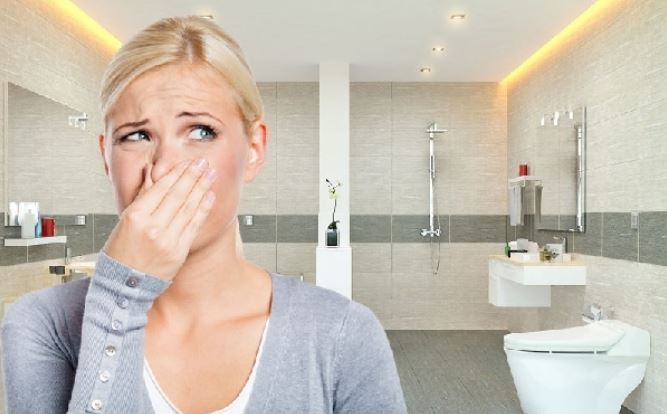Tại Sao Ozone Là Giải Pháp Vượt Trội Để Khử Mùi
